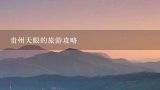 贵州天眼的旅游攻略,贵州毕节旅游景点攻略如何制定？