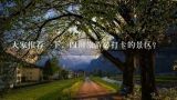 大家推荐一下，四川旅游必打卡的景区？请问一下，四川旅游景点哪个值得打卡啊？