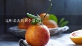 昆明必去的10个景点