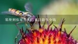 郑卅到张家界大巴五日游多少钱,青岛到张家界5日游多少钱