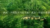 武汉一月份的天气怎么样？武汉一月适合旅游吗？2010年1月份最适合去南方的哪个城市旅游？