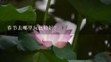 春节去哪里玩比较好？