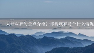 大理双廊的景点介绍？那现现在是个什么情况啊?