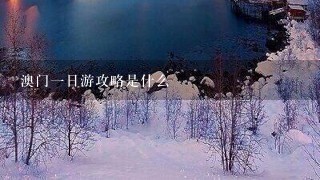 澳门一日游攻略是什么