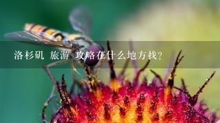 洛杉矶 旅游 攻略在什么地方找？