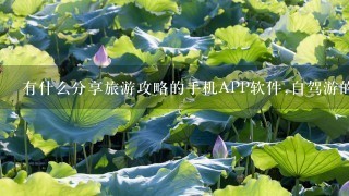 有什么分享旅游攻略的手机APP软件,自驾游的更好