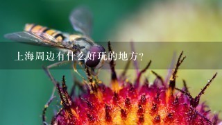 上海周边有什么好玩的地方？