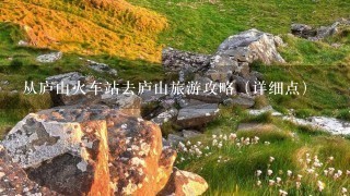 从庐山火车站去庐山旅游攻略（详细点）