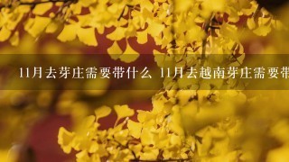 11月去芽庄需要带什么 11月去越南芽庄需要带的东西