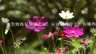 春节到西双版纳去玩，应该带些什么？有哪些要注意的吗？