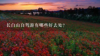 长白山自驾游有哪些好去处?