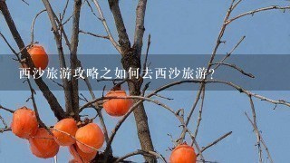 西沙旅游攻略之如何去西沙旅游?