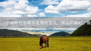 宁波附近有哪些免费的景点，爬山的最好。做什么公交能到?