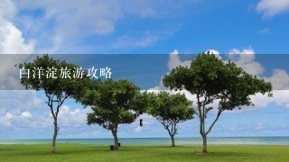 白洋淀旅游攻略