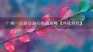 广州一日游自由行路线攻略【拜托拜托】