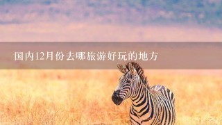 国内12月份去哪旅游好玩的地方