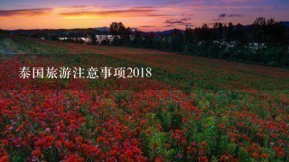 泰国旅游注意事项2018