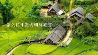 怎么样才能去朝鲜旅游