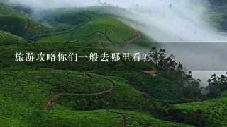 旅游攻略你们一般去哪里看？