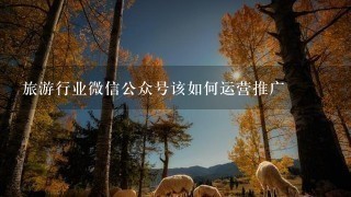 旅游行业微信公众号该如何运营推广