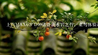 上汽MAXUS D90诸暨滴水岩之行，菜鸟体验越野，迟到