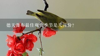 德天瀑布最佳观赏季节是几月份?