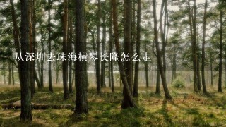 从深圳去珠海横琴长隆怎么走