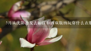 5月从沈阳出发去丽江和西双版纳玩穿什么衣服合适？2人自助游的路线和费用怎么规划？好吃的好玩都有什么