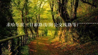 求哈尔滨三日游路线(附公交线路等)~~~~~~~~~~~~~~~~