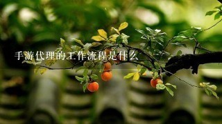 手游代理的工作流程是什么