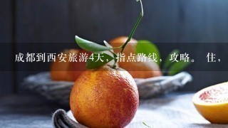 成都到西安旅游4天，指点路线，攻略。 住，吃，行。