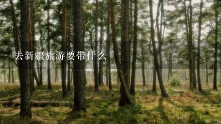 去新疆旅游要带什么