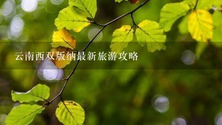 云南西双版纳最新旅游攻略