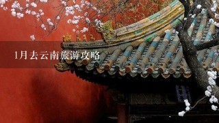 1月去云南旅游攻略