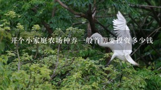 开个小家庭农场种养一般首期要投资多少钱