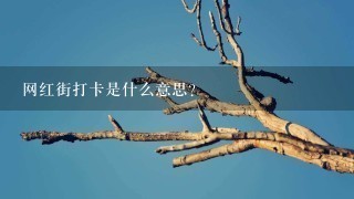 网红街打卡是什么意思？