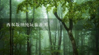 西双版纳纯玩旅游团