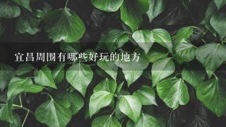 宜昌周围有哪些好玩的地方