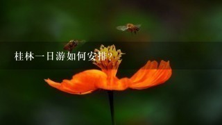 桂林一日游如何安排？