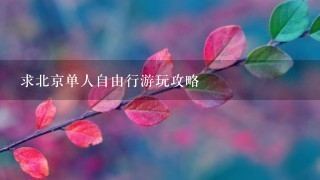 求北京单人自由行游玩攻略