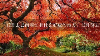 12月去云南丽江有什么好玩的地方？12月份去丽江好吗