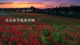 北京春节旅游攻略 ~~~