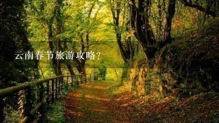 云南春节旅游攻略？