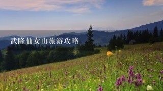 武隆仙女山旅游攻略