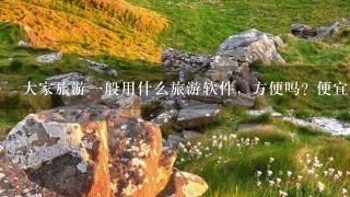 大家旅游一般用什么旅游软件，方便吗? 便宜吗？