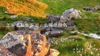 怎样去报旅游团，去哪里报名？