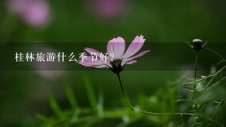 桂林旅游什么季节好？