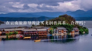 在云南旅游导游让买龙润普洱茶，合理吗？