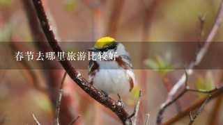 春节去哪里旅游比较好