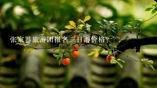 张家界旅游团报名三日游价格？